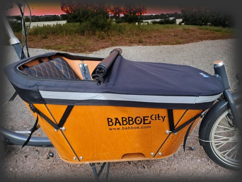 Cargo bike protection